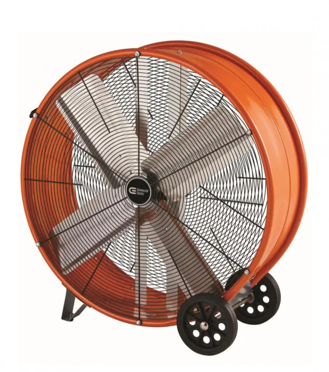 Fan